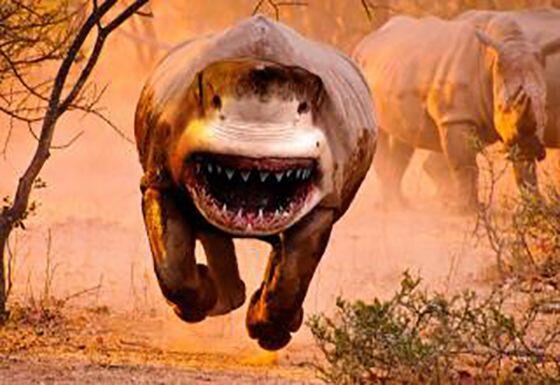 10 Foto Photoshop Gabungan Hewan yang Uniknya Kebangetan!