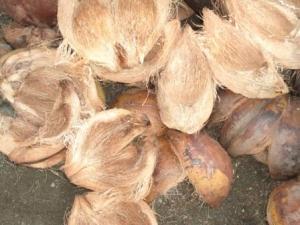 4 Jenis Alat Bantu Menstruasi (Ada Gambarnya)