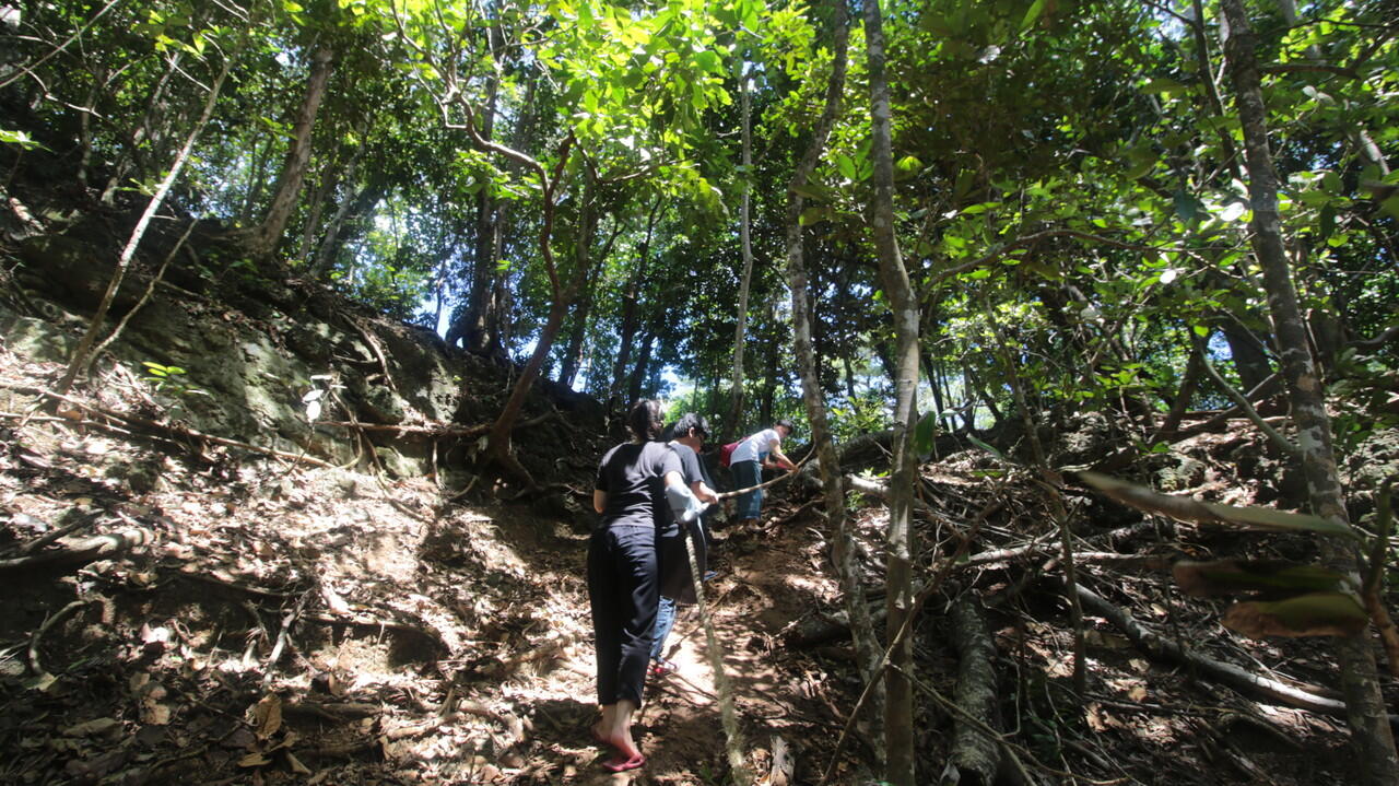 Pulau Peucang yang Eksotis di Ujung Kulon, Banten