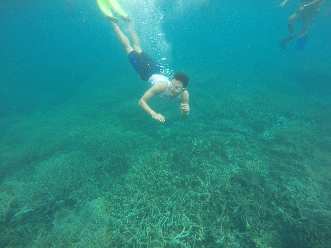 Pulau Peucang yang Eksotis di Ujung Kulon, Banten