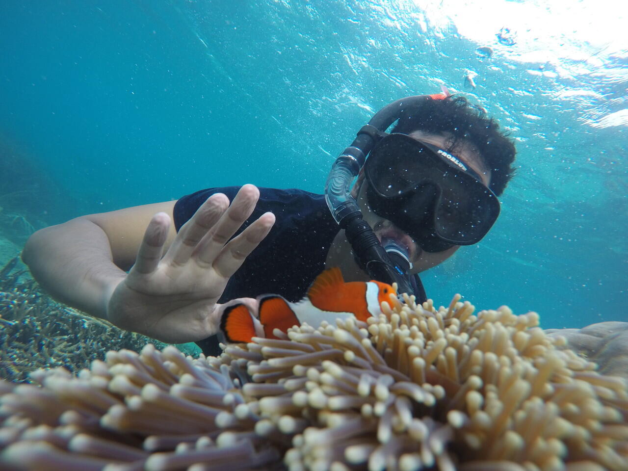 Pulau Peucang yang Eksotis di Ujung Kulon, Banten