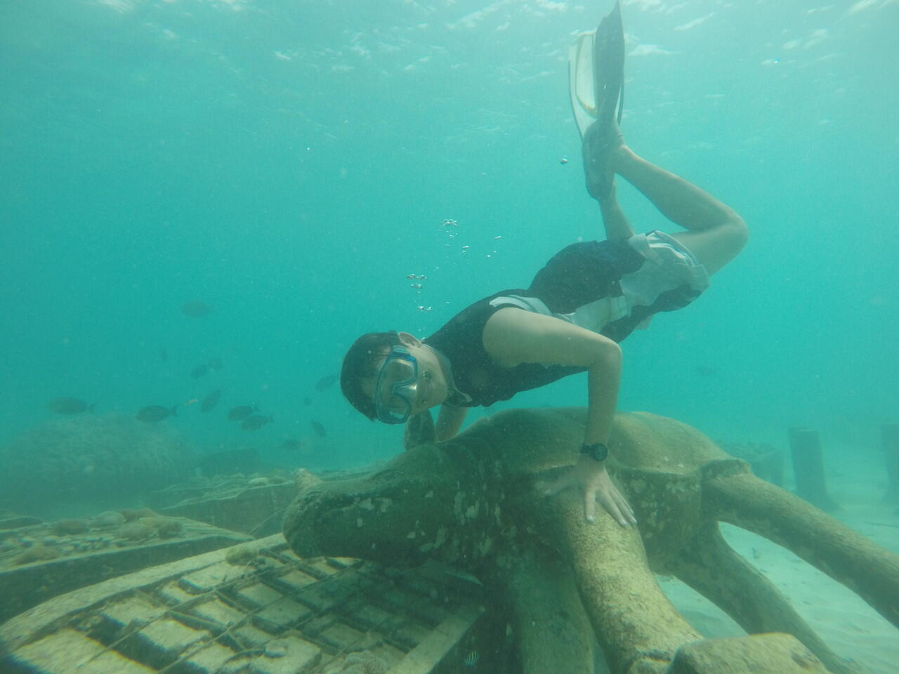 Pulau Peucang yang Eksotis di Ujung Kulon, Banten