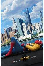 (MOVIE TIME)20 FILM TERLARIS DI DUNIA SEPANJANG TAHUN 2017 (POLLING)