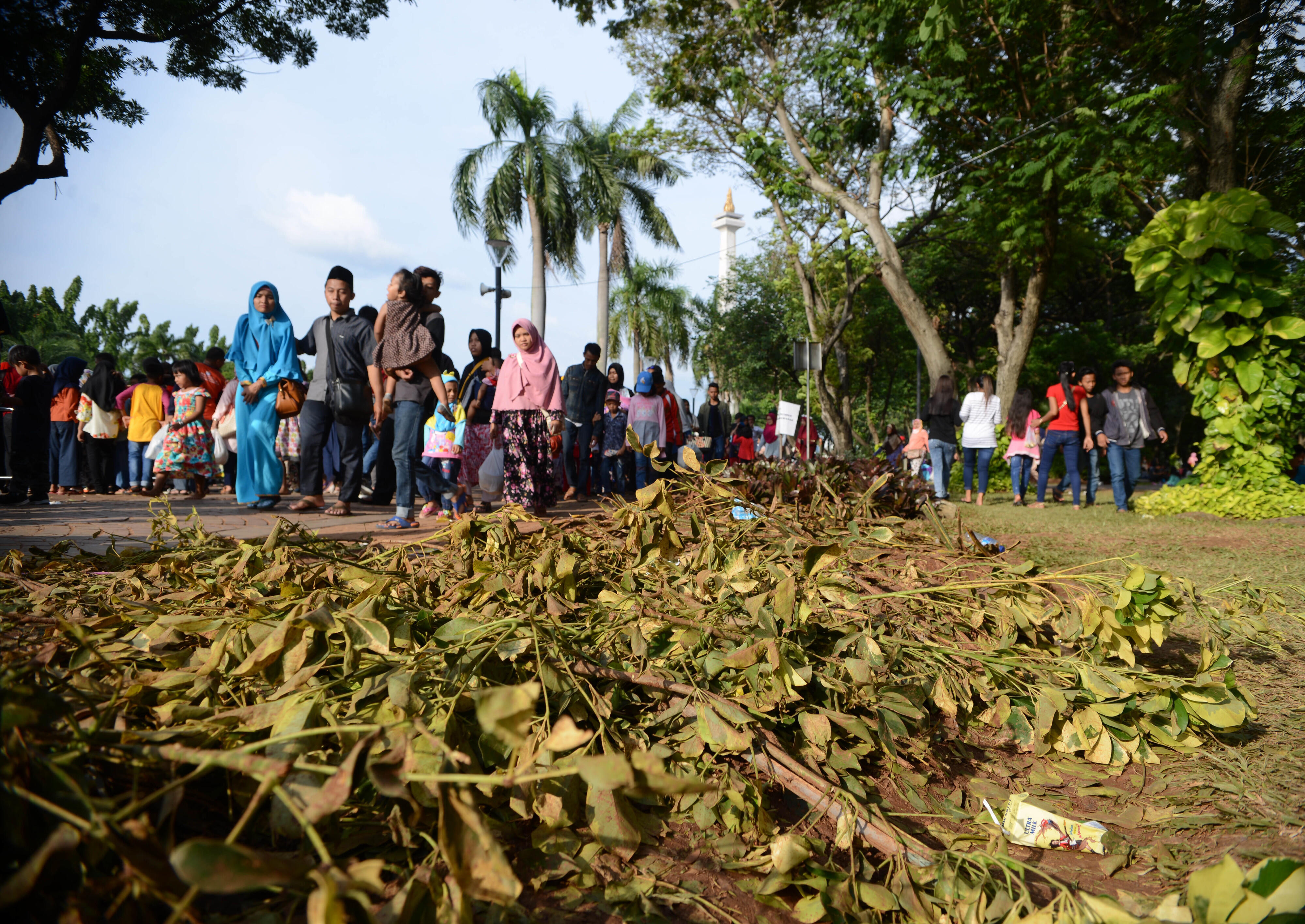 Pembenahan Rumput Monas tak Keluarkan Dana