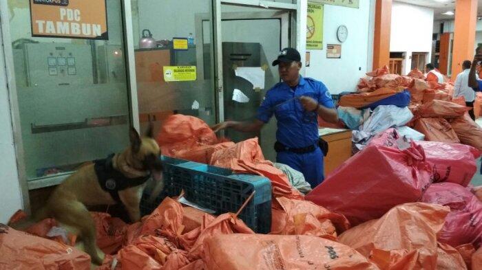Kronologis Pengungkapan Kasus 1,3 Ton Ganja untuk Pesta Perayaan Tahun Baru