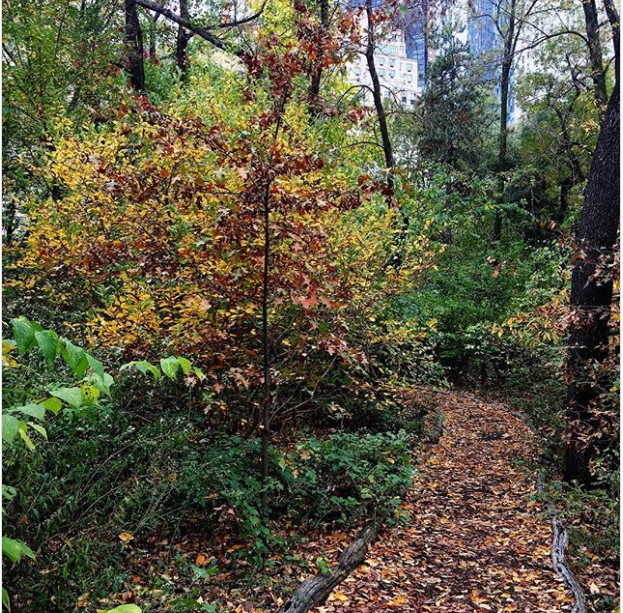 Keindahan Wisata Tersembunyi di New York 