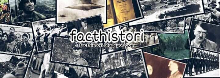 Inilah, Alasan Hitler Kalah Dalam Perang Dunia II #facthistori