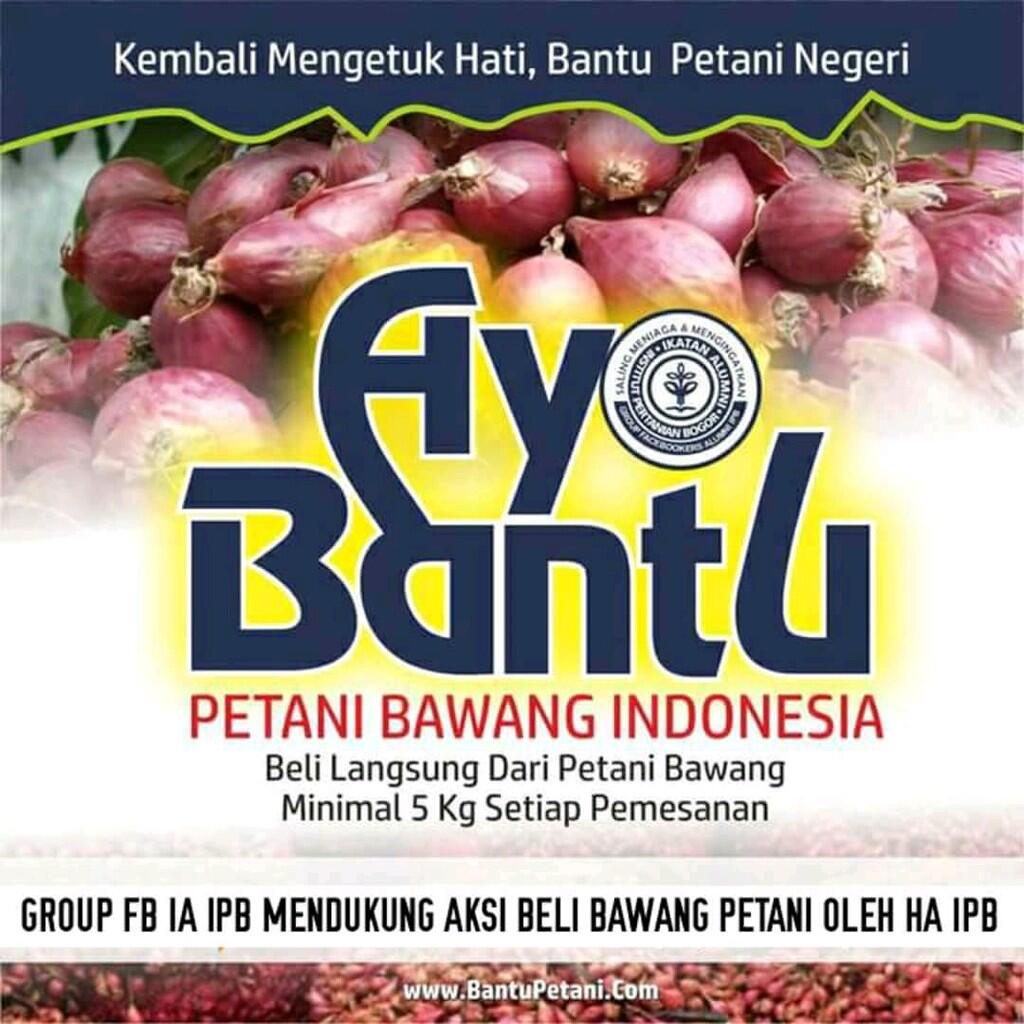 HA-IPB Borong 2,5 Ton Bawang Merah dari Petani