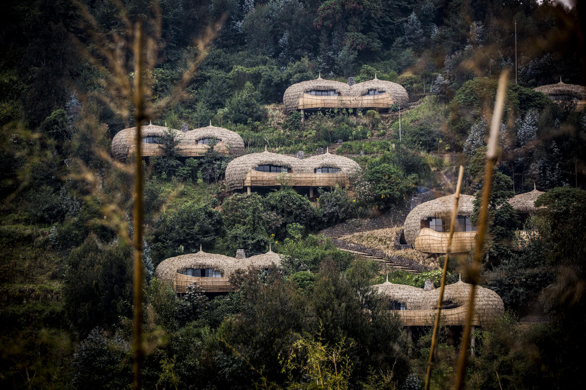 Bisate Lodge, Sebuah Penginapan di Sisi Volcanoes National Park 