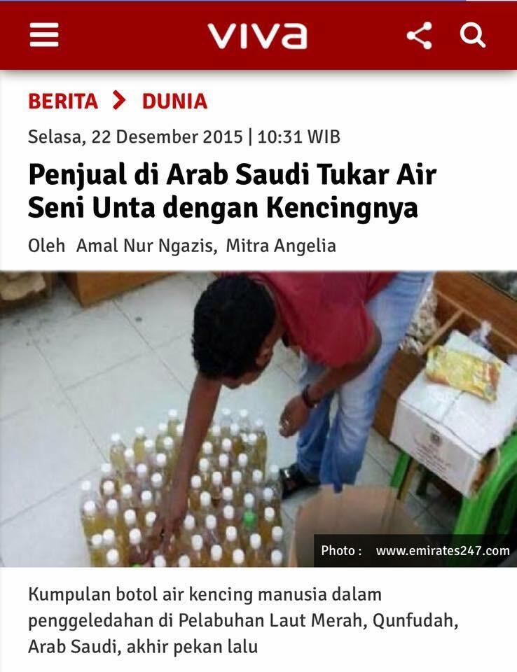 Pendapat Komisi Fatwa MUI Soal Hukum Minum Kencing Unta