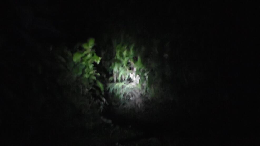 Misteri Hutan Perhutani, Puncak Tretes-Prigen, Pandaan+