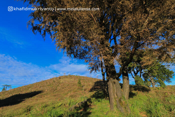 Dieng Plateau Lebih Dari Sekedar Lukisan