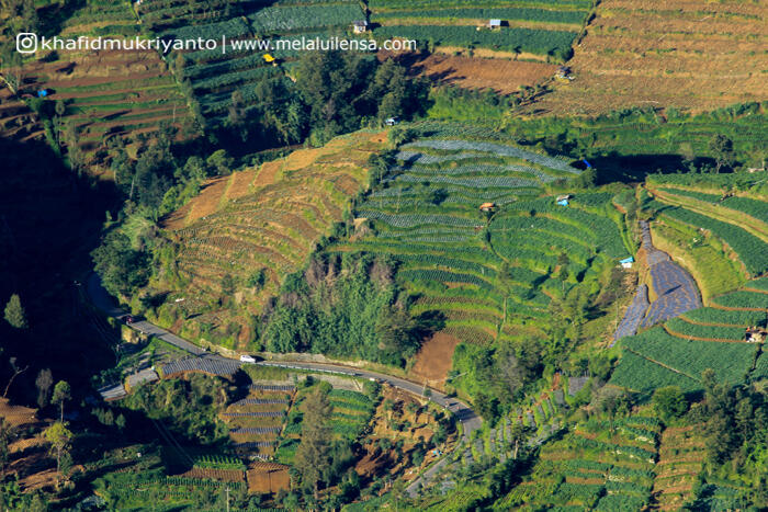 Dieng Plateau Lebih Dari Sekedar Lukisan