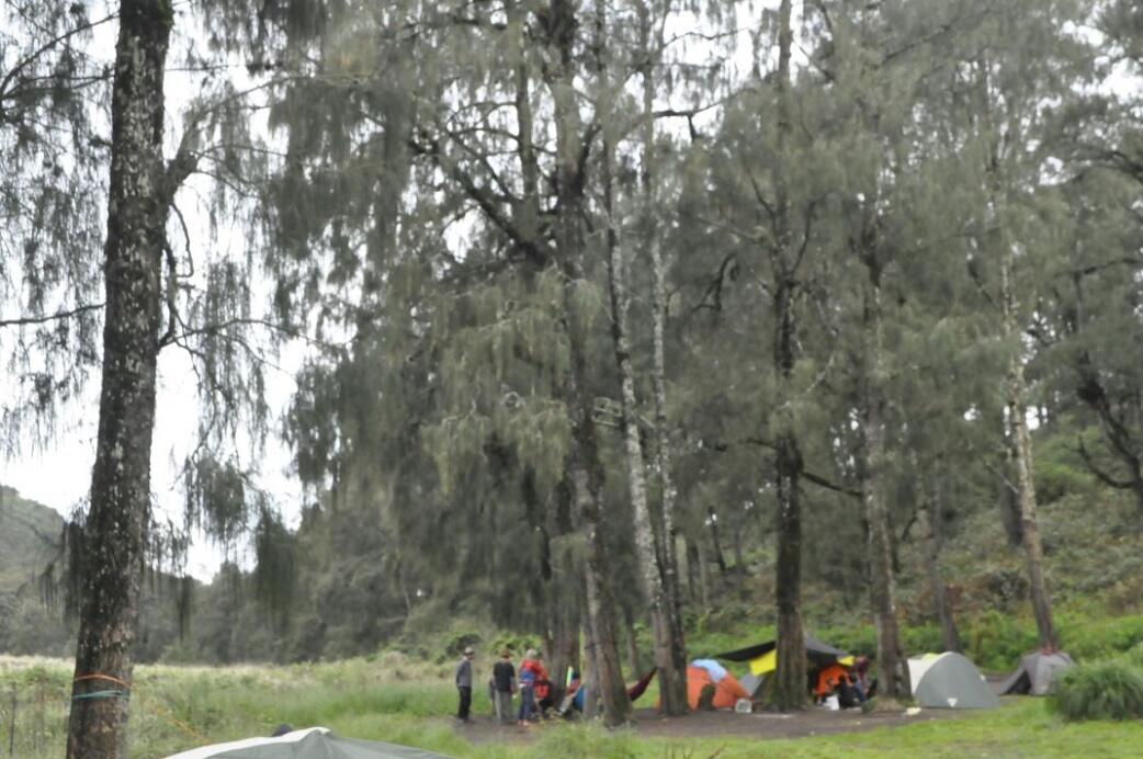 &#91;CATPER&#93; PENDAKIAN MT. SEMERU - PUNCAK MAHAMERU 29 DES 17 - 1 JAN 18 &#91;TERBAYAR SUDAH&#93;