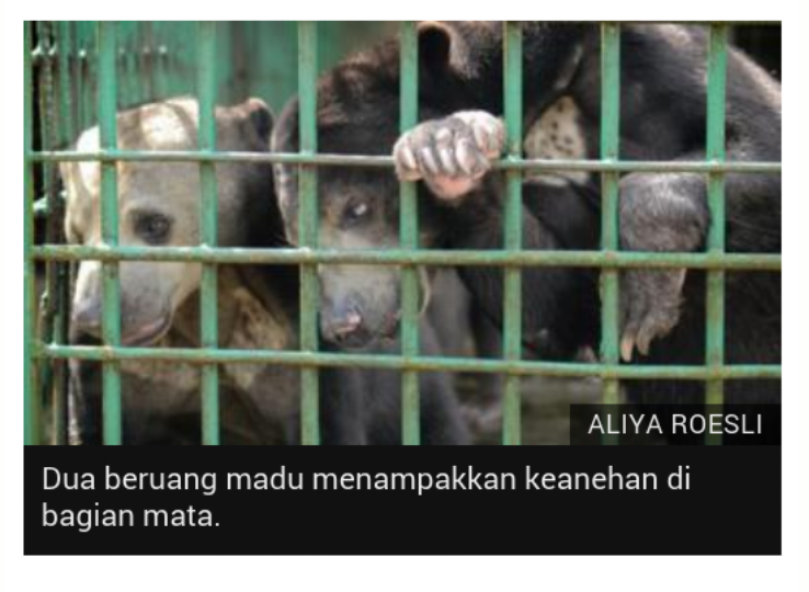 ‘Sedih dan Marah’ Melihat Kondisi Satwa di Kebun Binatang Riau
