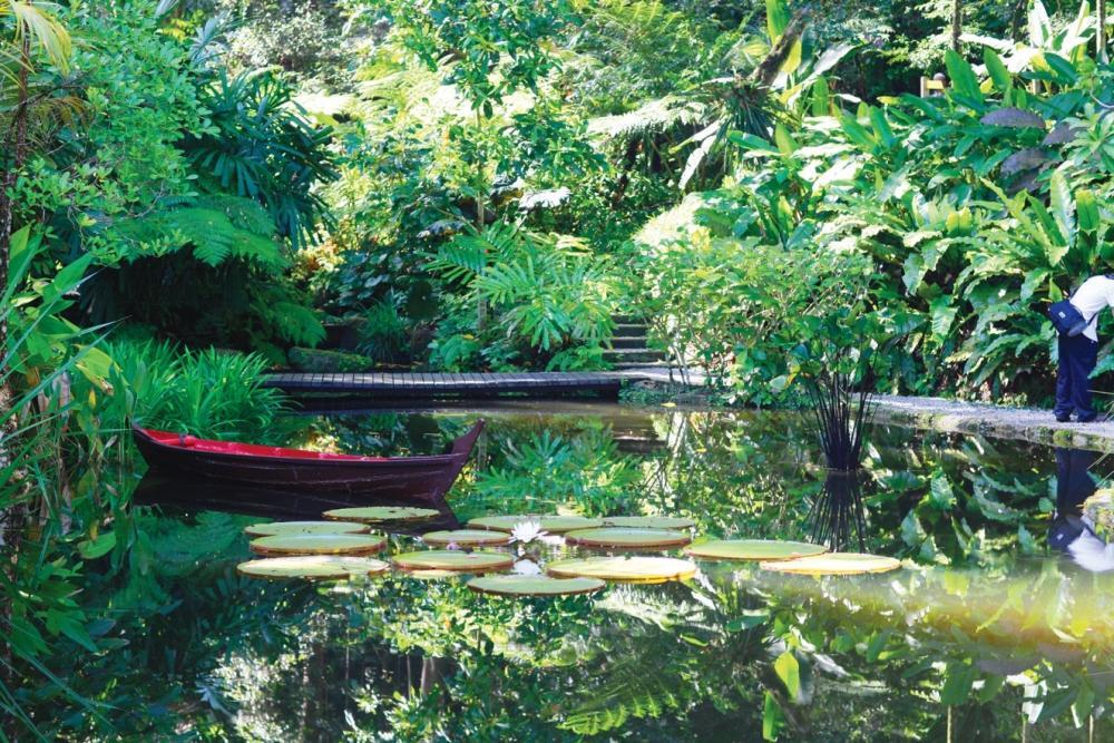 Menikmati Serunya Berpetualang di Penang, Malaysia