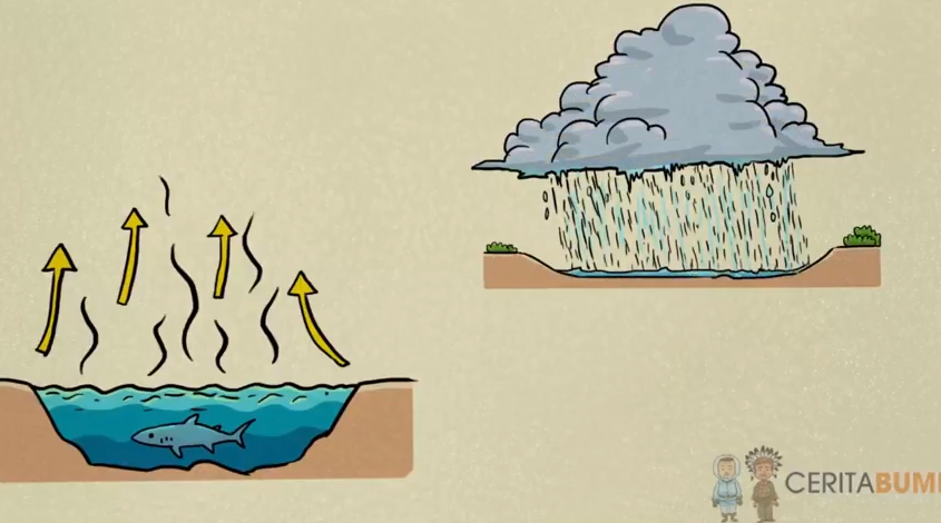 Asal Usul Terbentuknya Laut