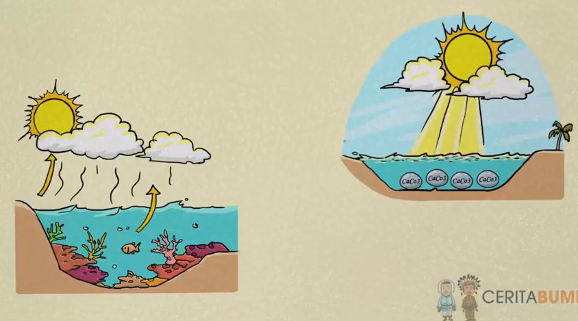 Asal Usul Terbentuknya Laut