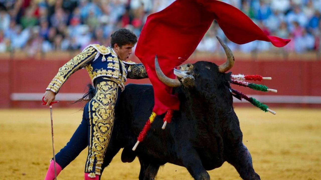 Ini Alasan Kenapa Banteng Membenci Warna Merah