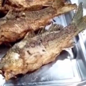 Geger! Ikan Dimasak Sampai Garing `Hidup` Lagi