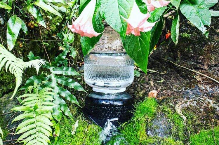 Air Mentah Ini Dijual Rp 500 ribu per Galon, Kok Bisa?