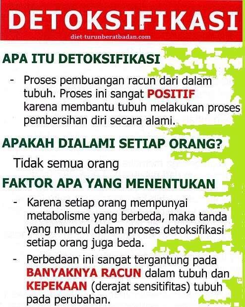 Air Mentah Ini Dijual Rp 500 ribu per Galon, Kok Bisa?