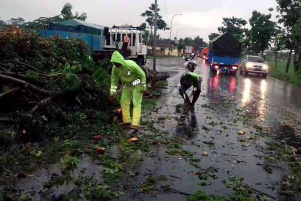 Sejumlah Desa di Gunung Kidul Diterpa Angin Kencang