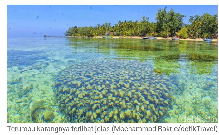 Asyiknya Snorkeling Bareng Nemo di Pulau Kapoposang