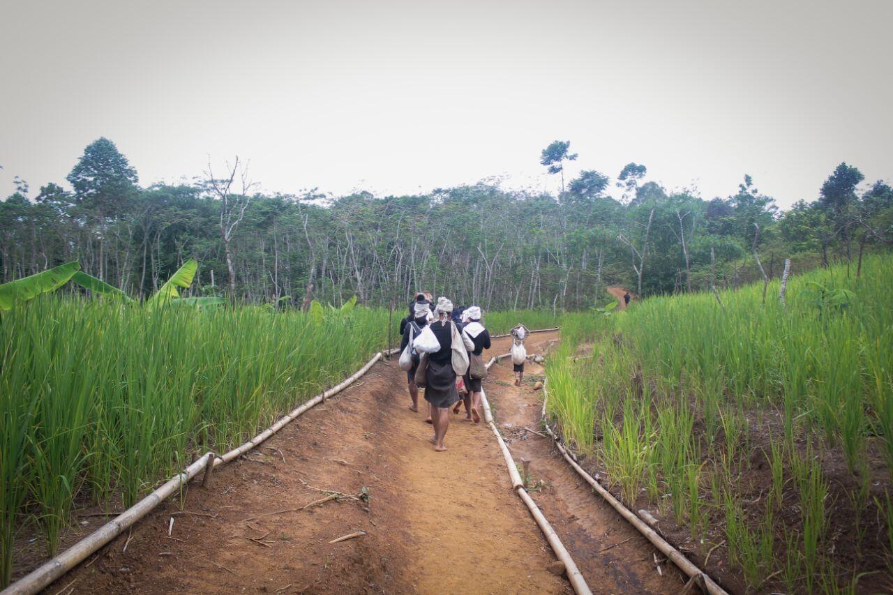 Ini Alasan Suku Baduy Tidak Pernah Ikut Pemilu