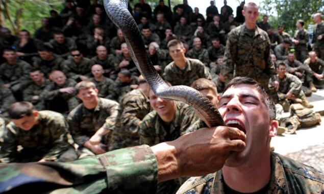 7 Latihan Militer Paling Ekstrem dan Tak Manusiawi