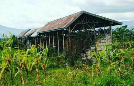 6 Pemandangan Stadion Terburuk di Dunia, Malah Mirip Sawah