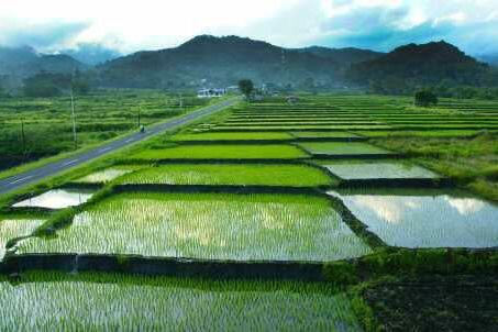 6 Pemandangan Stadion Terburuk di Dunia, Malah Mirip Sawah