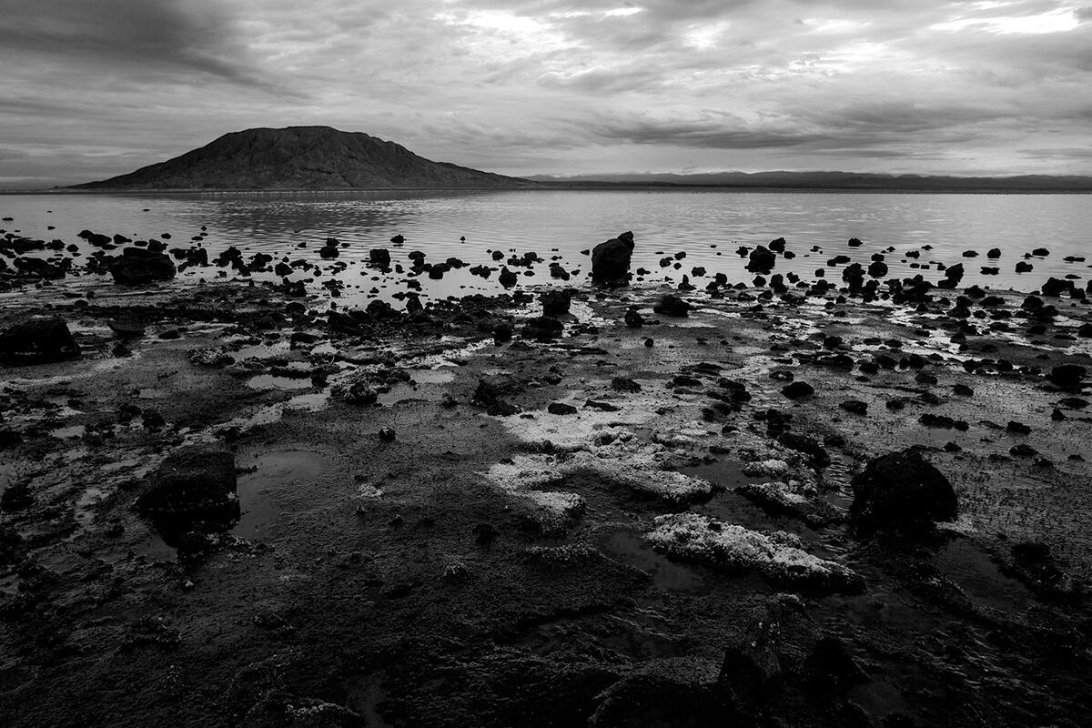 Danau Mematikan Ini Ubah Hewan Jadi Sekumpulan Patung Batu