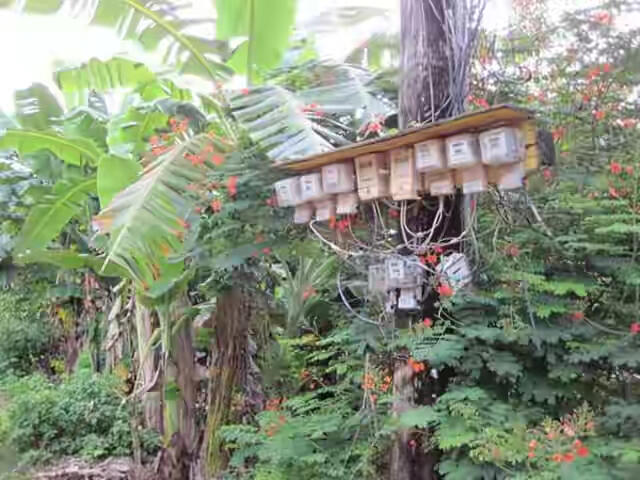 Hal-hal Unik Yang Ada Di Thailand