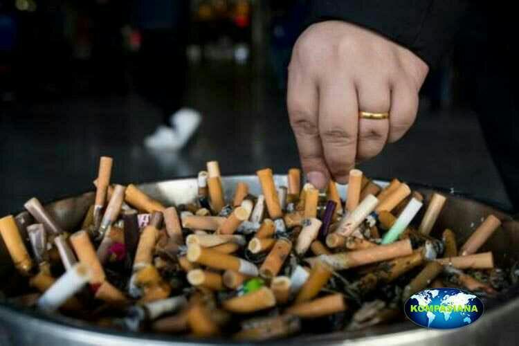 Bagi Perokok Yang Ingin Paru Kamu Bersih, Mulailah Mengonsumsi 9 Jenis Makanan Ini