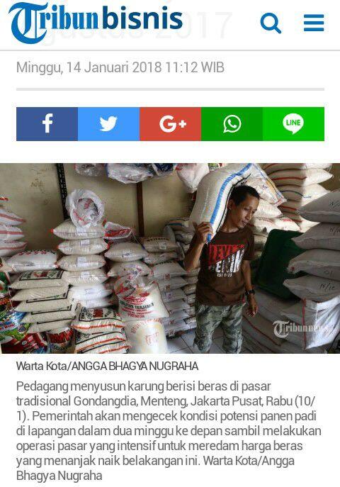 Guru Besar IPB: Gejolak Harga Beras Sudah Terjadi Sejak Agustus 2017 