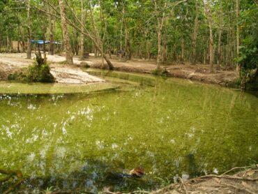 Mau Liburan ke Pekanbaru? Nih 3 Tempat Wisata Terbaru Di Pekanbaru!
