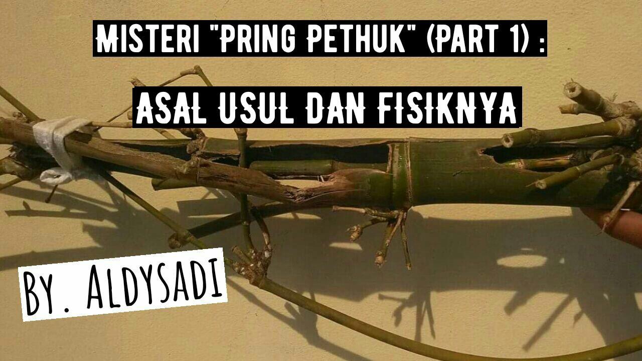 Misteri &quot;Pring Pethuk&quot; (Part 1) : Asal Usul dan Fisiknya