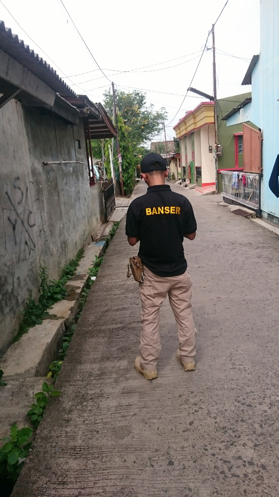 BANSER Dwpok