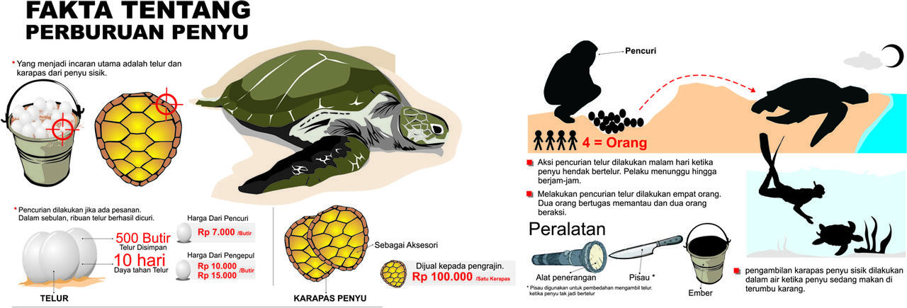 Penyu Terancam Punah