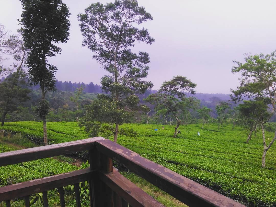 LELAH TAPI PUAS!! Perjalanan Ke Puncak Budug Asu, Tempat WIsata Lereng Gunung