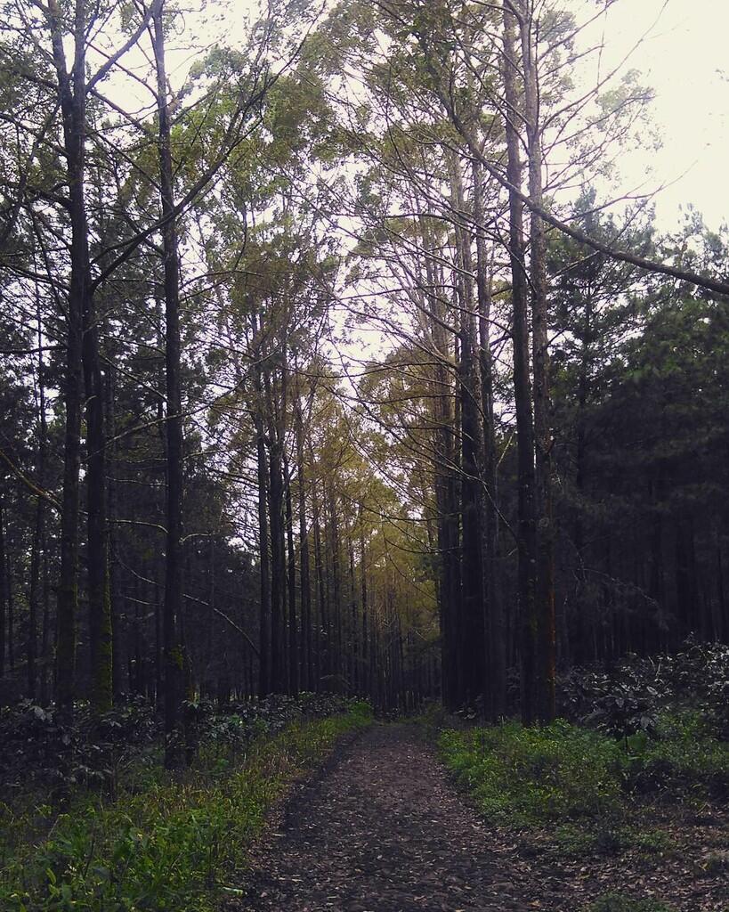 LELAH TAPI PUAS!! Perjalanan Ke Puncak Budug Asu, Tempat WIsata Lereng Gunung