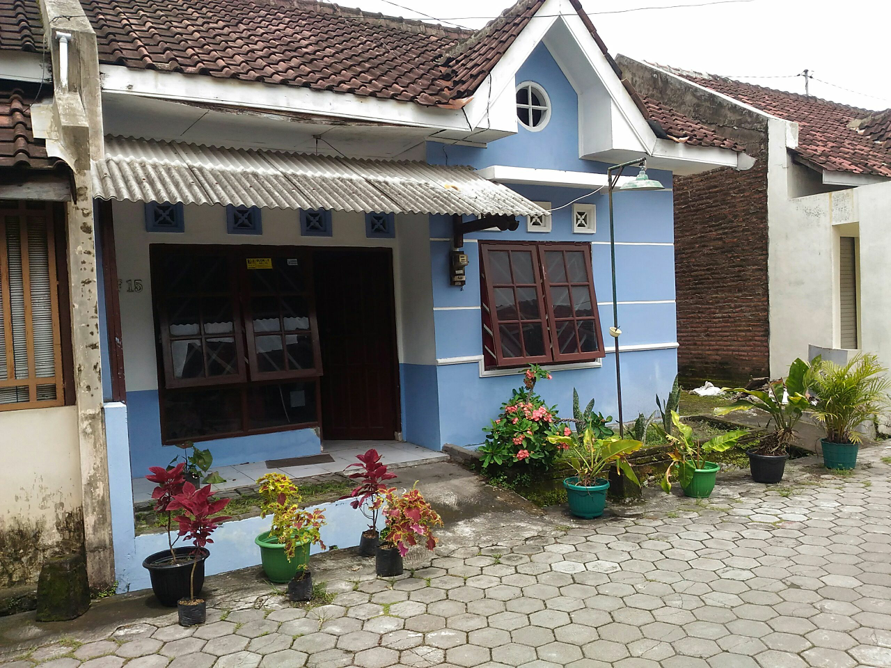 Mulai Belajar Berkebun Gan
