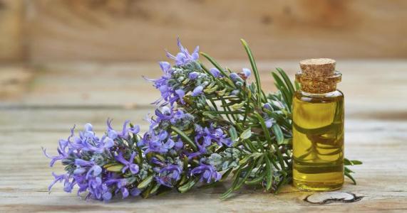 &#91;GATSUONE INFO&#93; 12 Aroma Ini Ternyata Baik Untuk Kesehatan, Emosi, dan Saraf Agan!