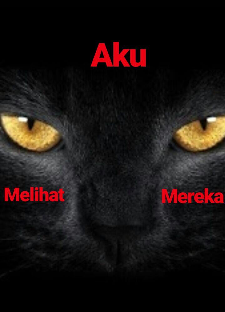 Aku Melihat Mereka