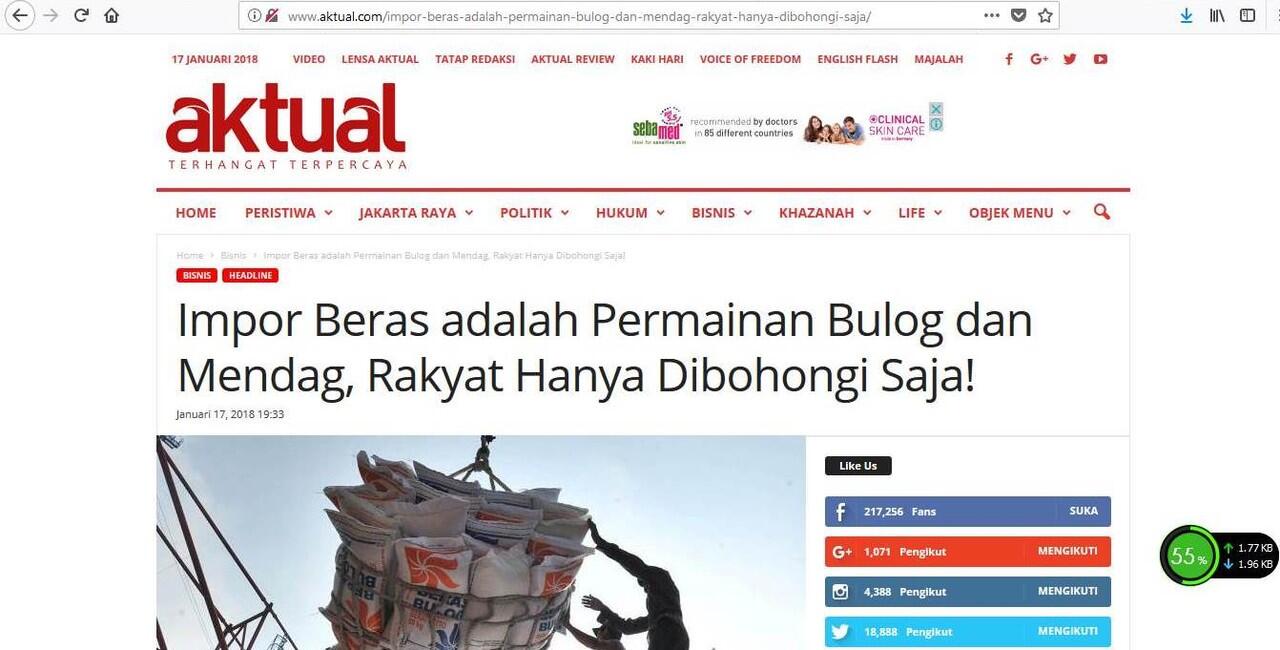 Impor Beras adalah Permainan Bulog dan Mendag, Rakyat Hanya Dibohongi Saja!