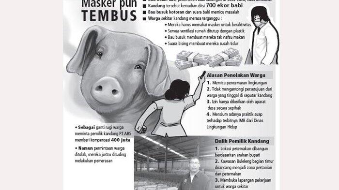 700 Babi Picu Konflik di Desa Bila, Warga Sampai Muntah-Muntah Tak Bisa Istirahat