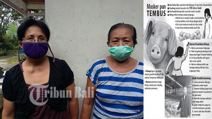 700 Babi Picu Konflik di Desa Bila, Warga Sampai Muntah-Muntah Tak Bisa Istirahat