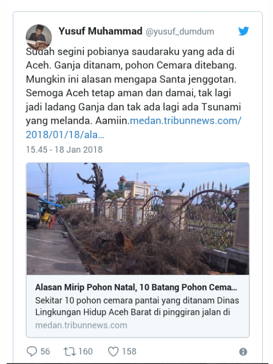 Penebangan Pohon Cemara di Depan Masjid Agung Meulaboh, Karena 'Ketakutan'?