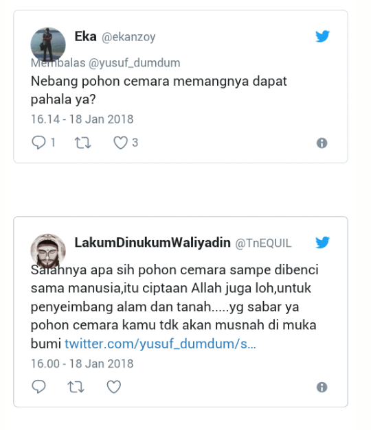 Penebangan Pohon Cemara di Depan Masjid Agung Meulaboh, Karena 'Ketakutan'?